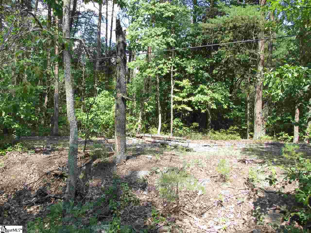356 South Buckhorn Road Greenville, SC 29609 - Photo 1 of 3 Gallery Image 1