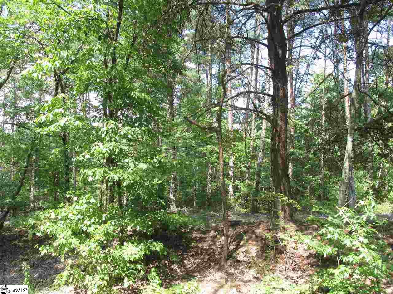 356 South Buckhorn Road Greenville, SC 29609 - Photo 3 of 3 Gallery Image 3