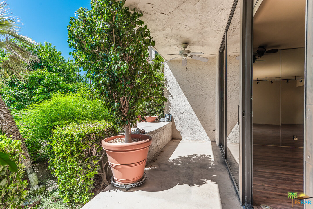 910 Island Drive, Unit 107 Rancho Mirage, CA 92270 - Photo 6 of 23 a view of a back yard from a patio