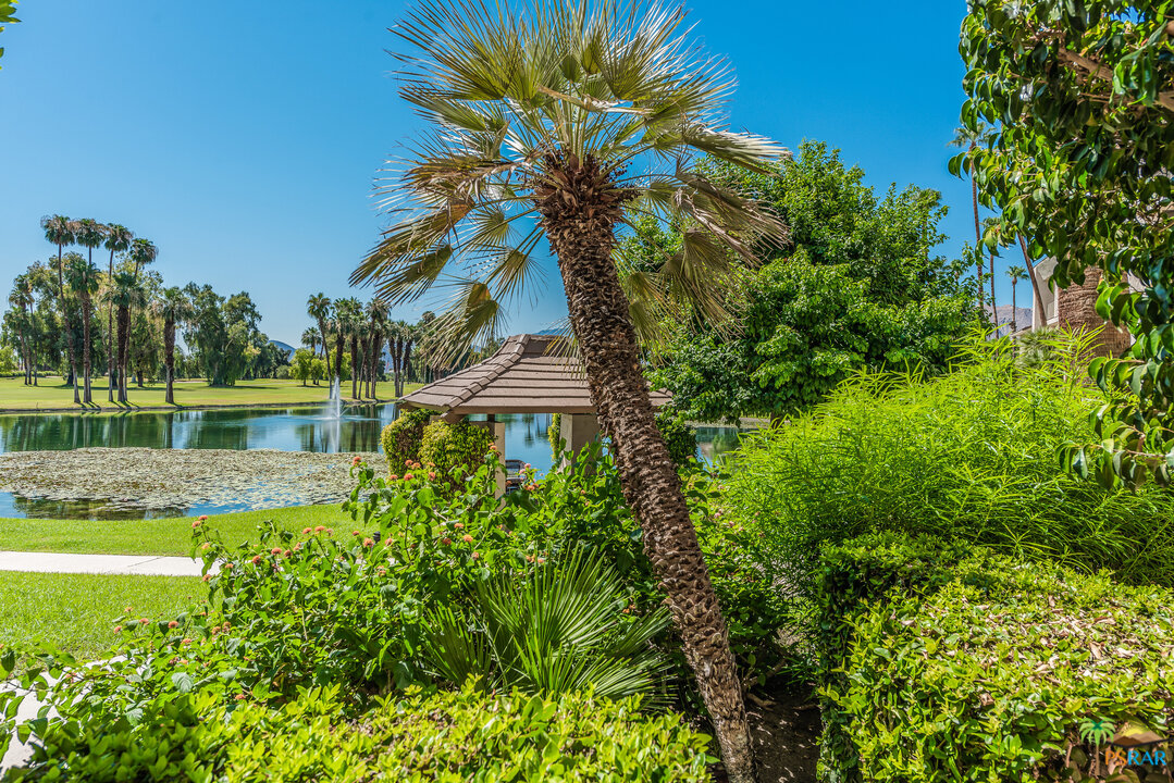 910 Island Drive, Unit 107 Rancho Mirage, CA 92270 - Photo 8 of 23 a view of a house with a yard