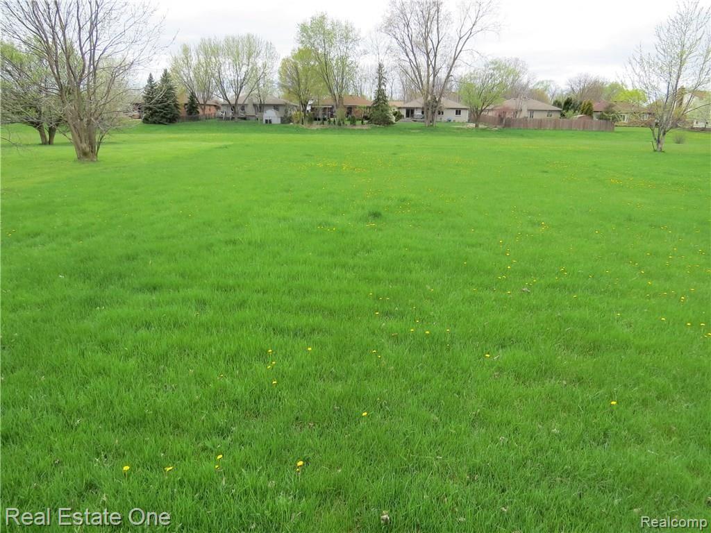 921 Minnesota Road Troy, MI 48083 - Photo 27 of 27 IMG_2449.JPG