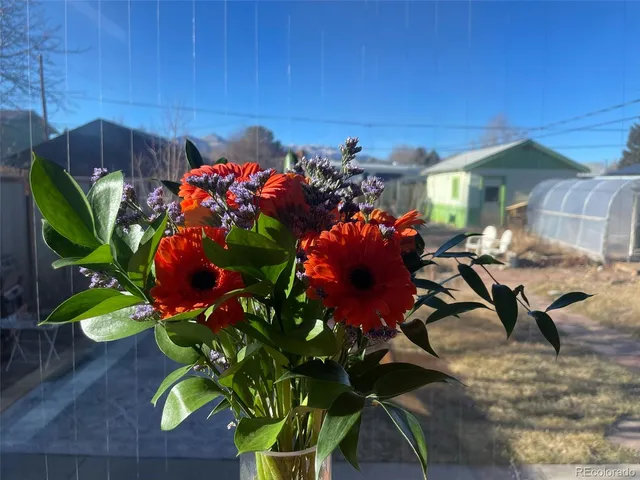 $625,000 | 1328 I Street, Salida, CO 81201