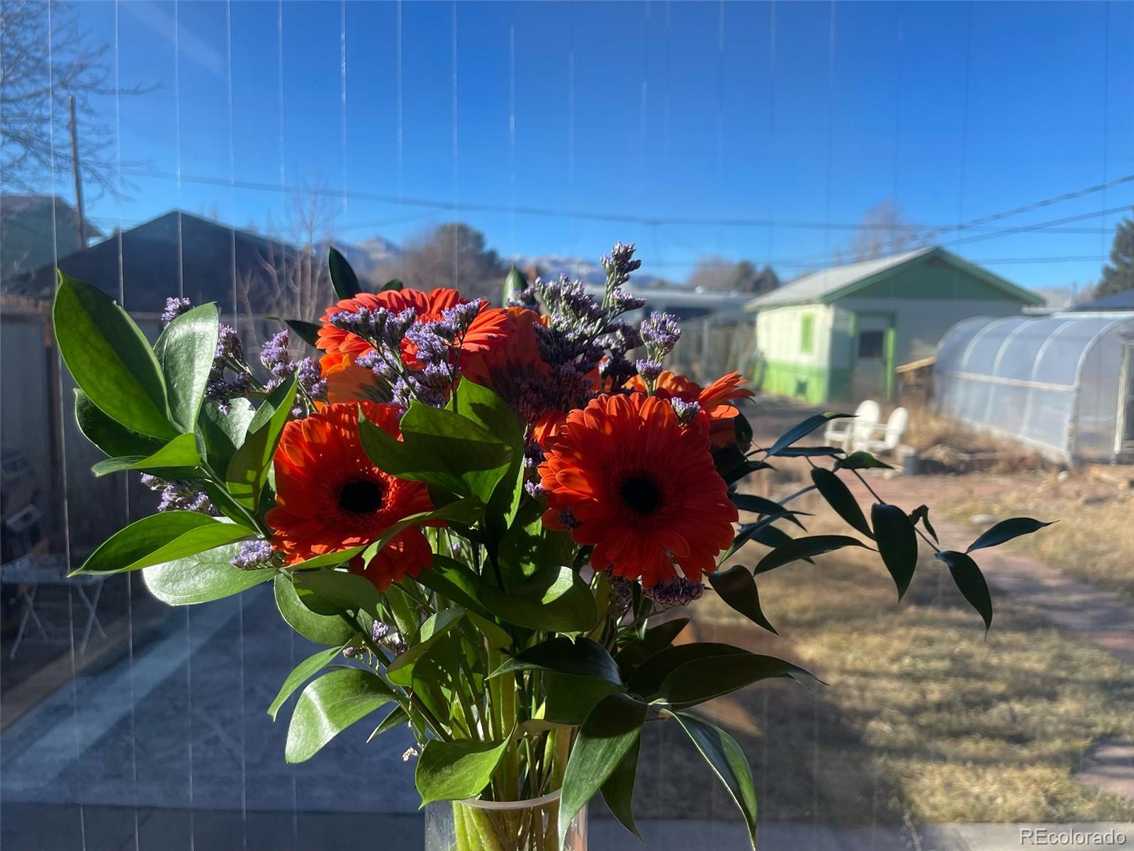 1328 I Street Salida, CO 81201 - Photo 7 of 24 a backyard of a house with lots of green space