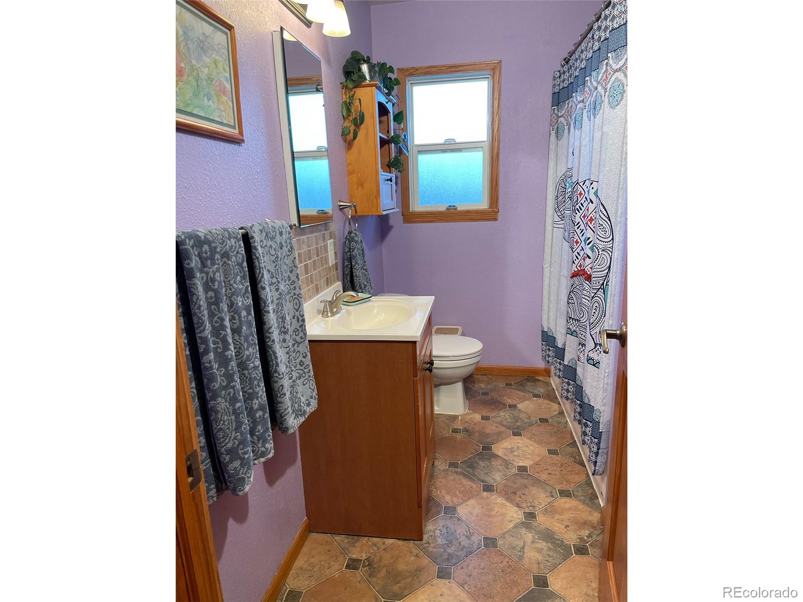 1328 I Street Salida, CO 81201 - Photo 8 of 24 a bathroom with a toilet and a mirror