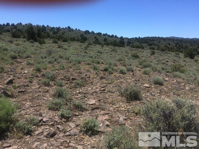 3680 Palisade Road Reno, NV 89521 - Photo 2 of 7 a view of a forest with a forest