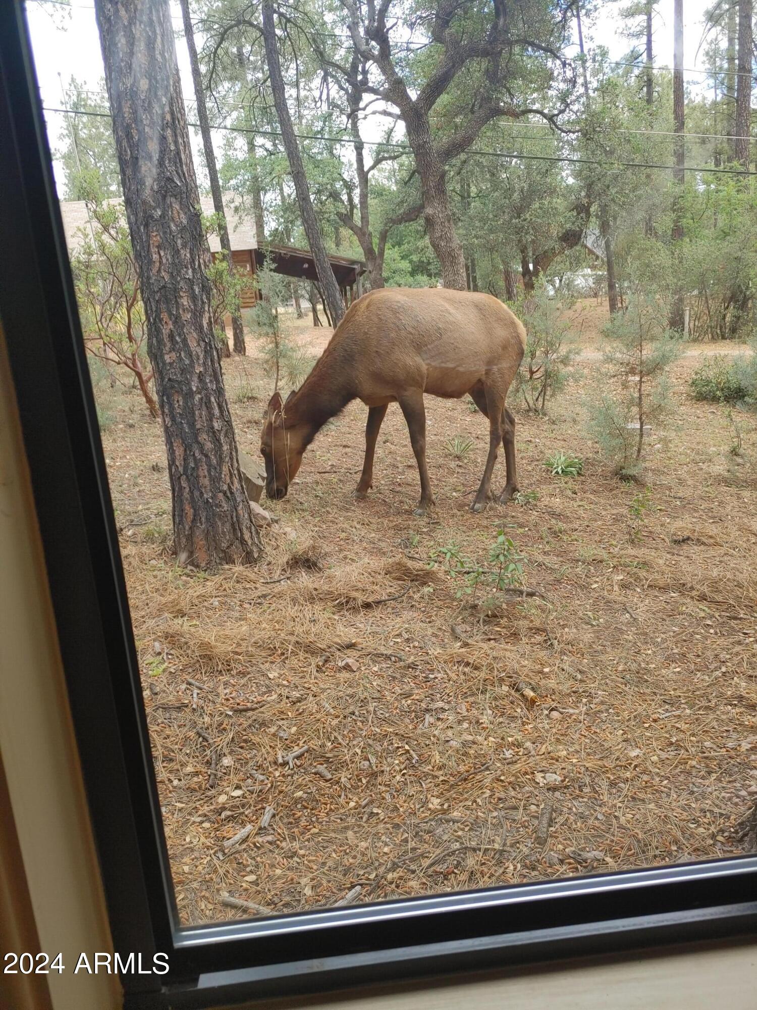 6625 Ute Trail Pine, AZ 85544 - Photo 25 of 25 0618221012_HDR