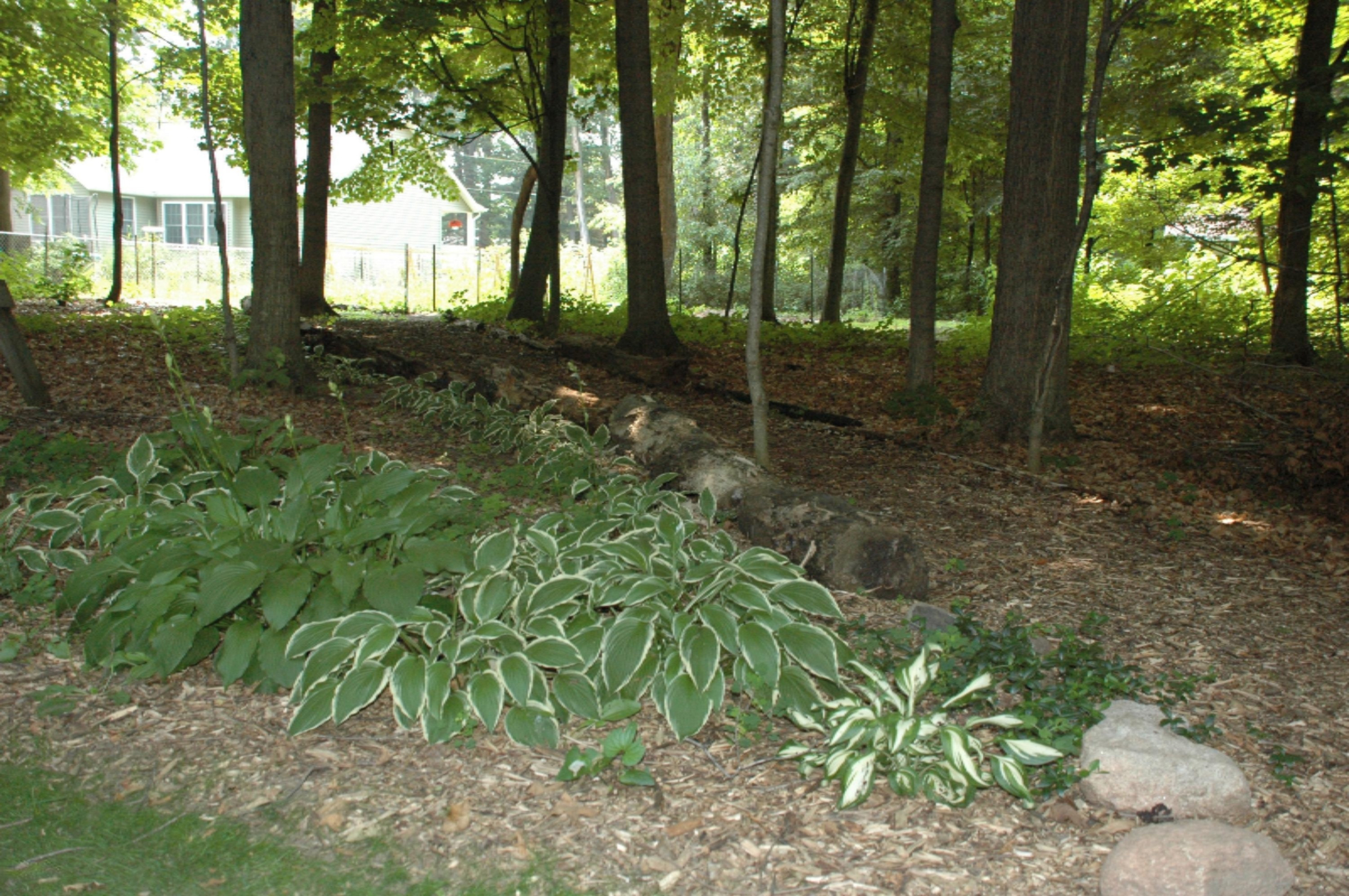 881 North Hillman Road Stanton, MI 48888 - Photo 8 of 39 DSC_1441