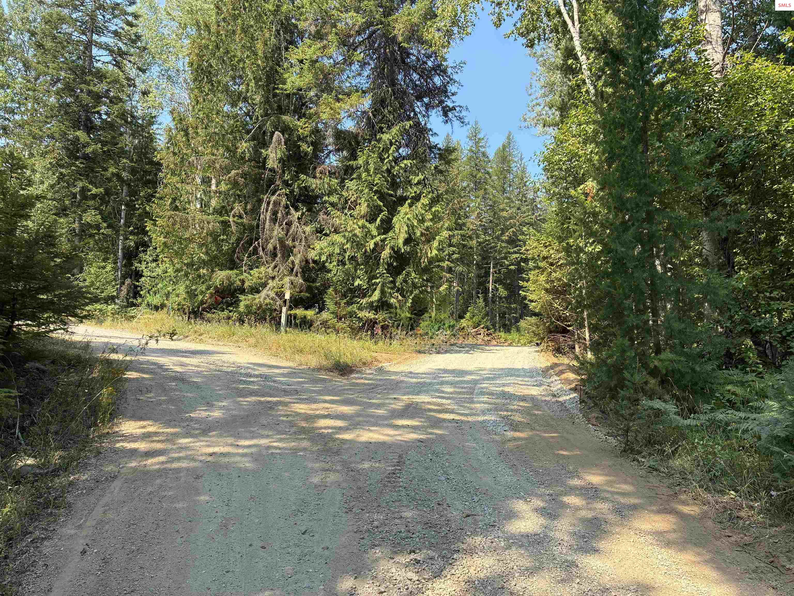 Nka Sugar Mountain Road Sandpoint, ID 83864 - Photo 6 of 19 Gallery Image 6
