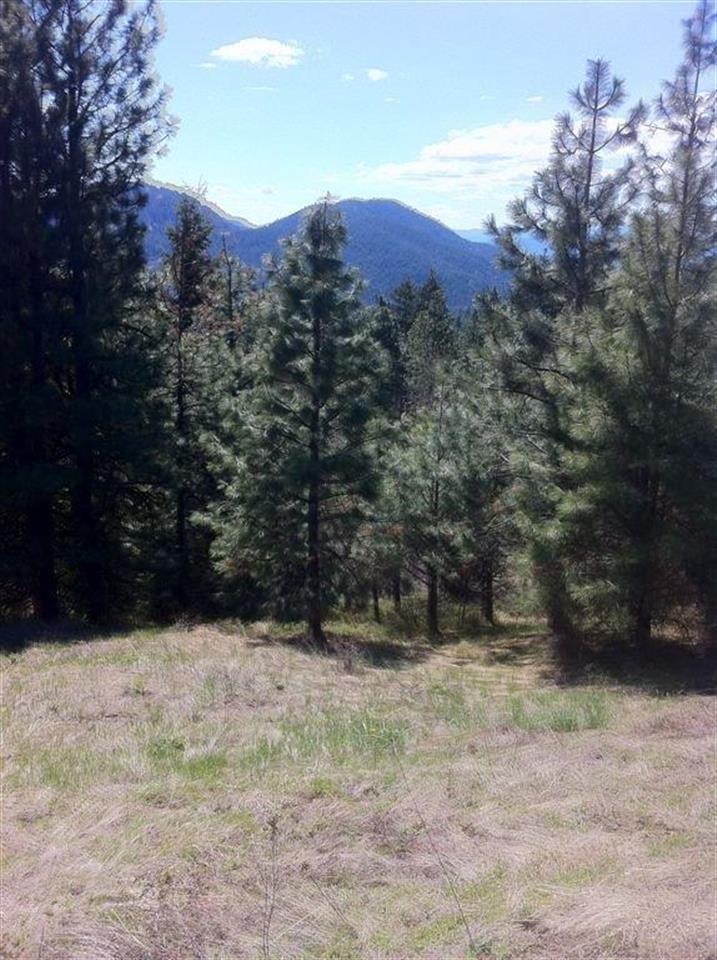 2833 Chamberlin Road Rice, WA 99167 - Photo 2 of 12