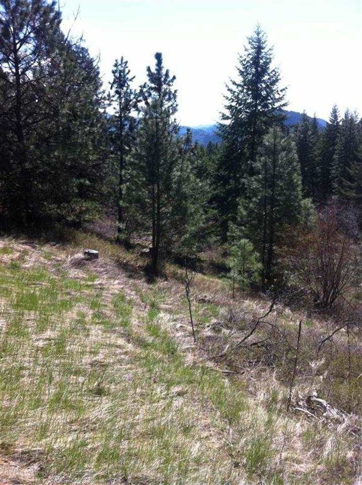 2833 Chamberlin Road Rice, WA 99167 - Photo 4 of 12