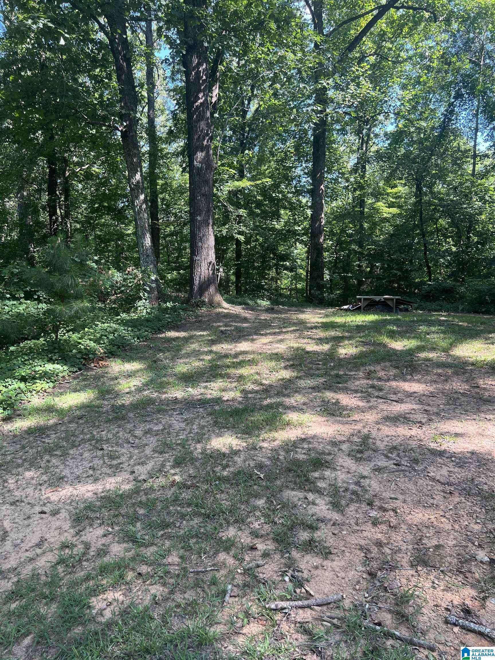 330 Sellers Road Dora, AL 35062 - Photo 20 of 22
