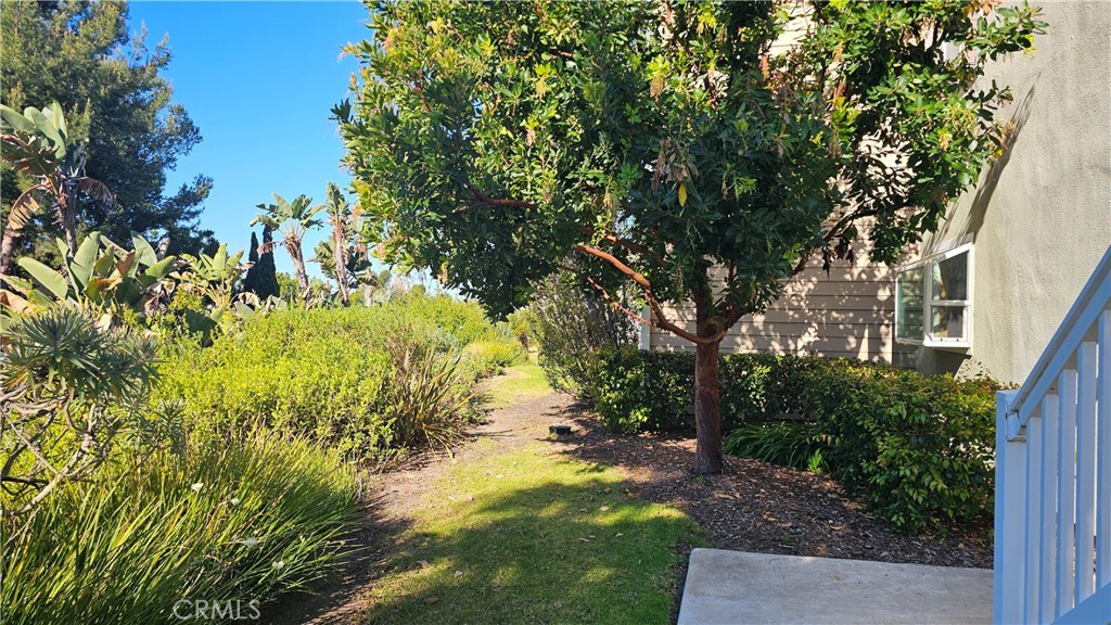 34146 Selva Road, Unit 198 Dana Point, CA 92629 - Photo 11 of 17 a view of yard along with trees