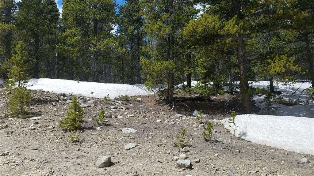 14 A Co Road Fairplay, CO 80440 - Photo 1 of 8 Gallery Image 1
