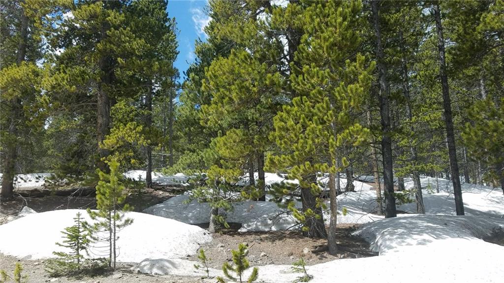 14 A Co Road Fairplay, CO 80440 - Photo 2 of 8 Gallery Image 2