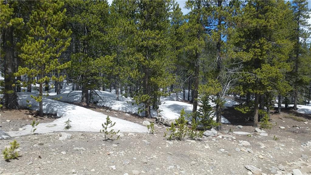 14 A Co Road Fairplay, CO 80440 - Photo 7 of 8 Gallery Image 7