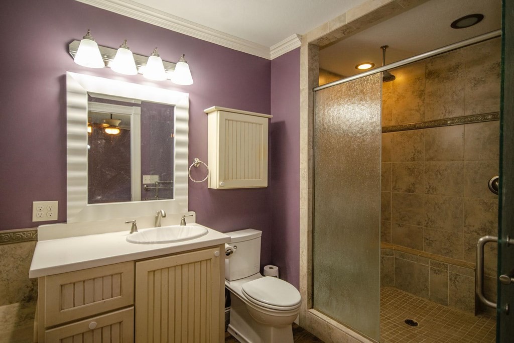 767 Lane Hollow Road Sevierville, TN 37876 - Photo 16 of 31 a bathroom with a sink toilet and shower