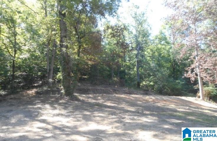 825 Browns Valley Road, Unit 9 Pell City, AL 35128 - Photo 2 of 4