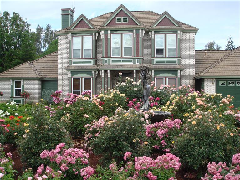 19292 Farallon Road Madera, CA 93638 - Photo 1 of 38 Spring at 19292 Farallon Road, Madera, CA