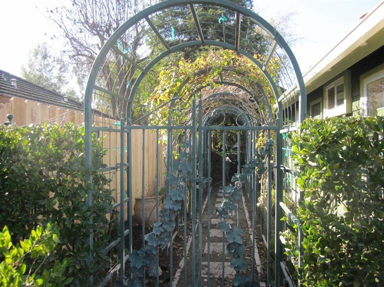 19292 Farallon Road Madera, CA 93638 - Photo 35 of 38 Arbor on south side of house