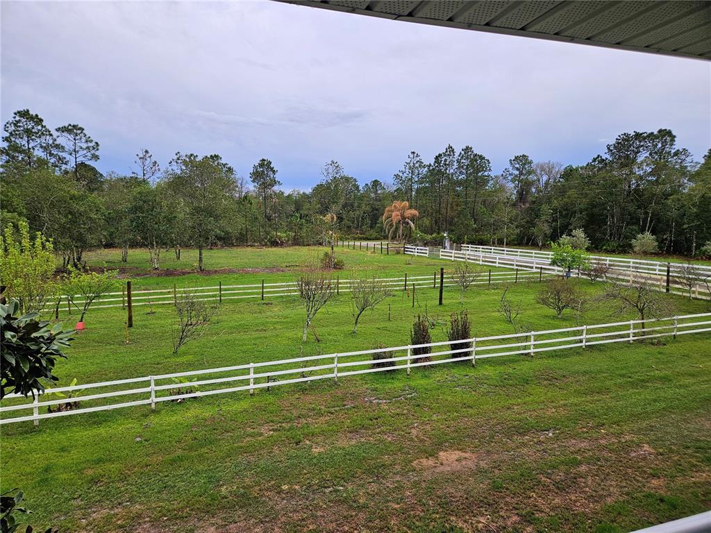 980 Still Road Pierson, FL 32180 - Photo 93 of 100