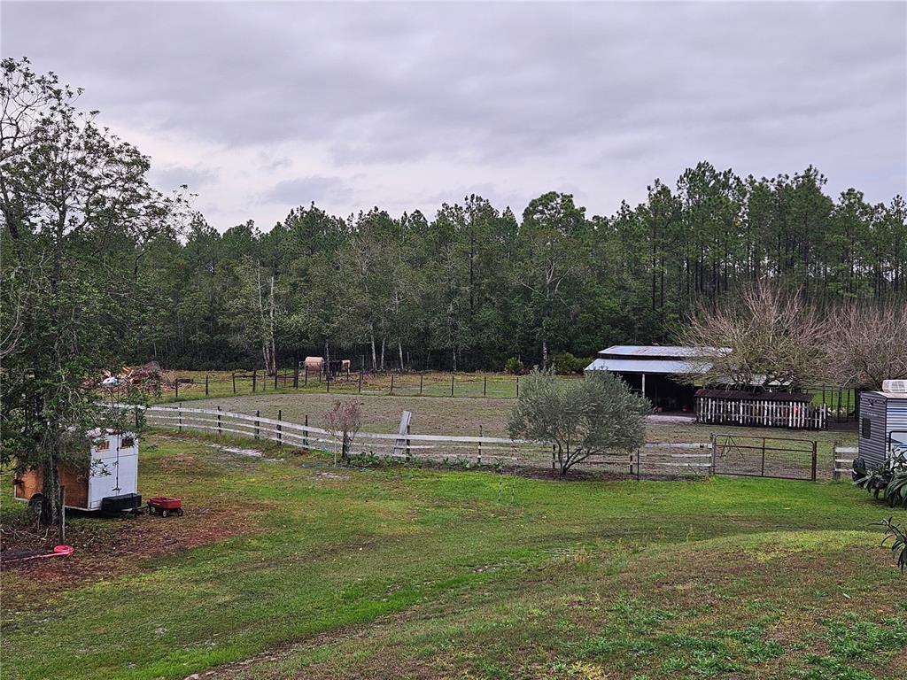 980 Still Road Pierson, FL 32180 - Photo 97 of 100