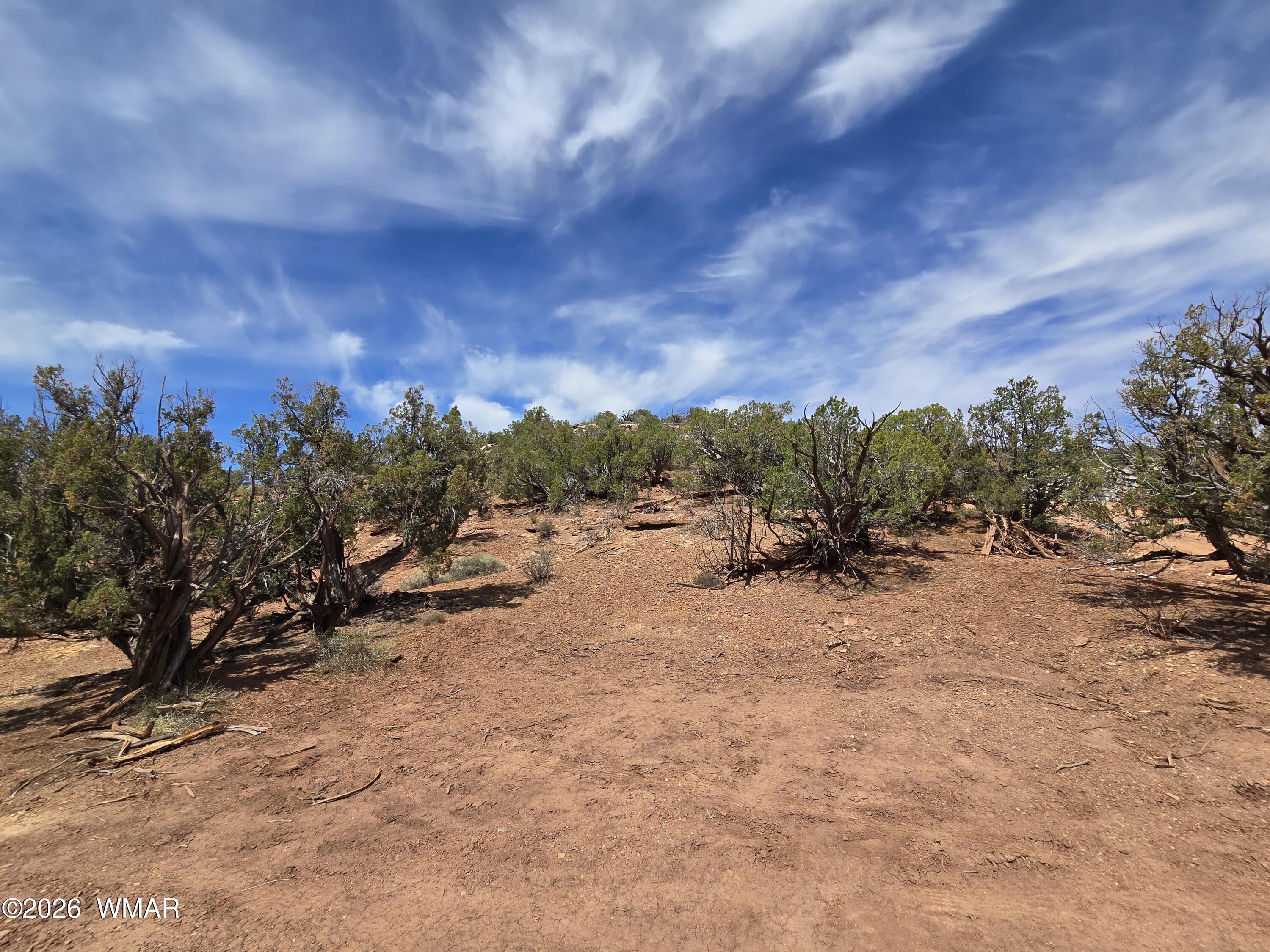 9255 Tonto Road Snowflake, AZ 85937 - Photo 2 of 9