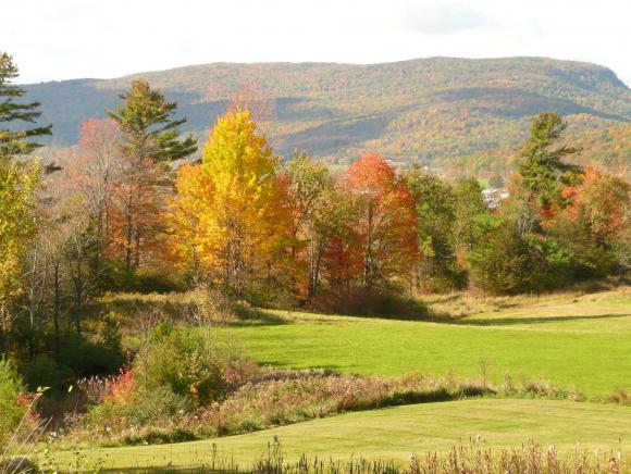 690 Pearson Road New Haven, VT 05472 - Photo 20 of 23