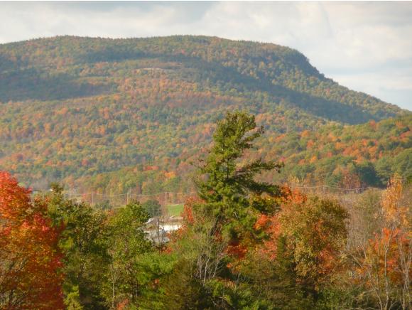 690 Pearson Road New Haven, VT 05472 - Photo 21 of 23
