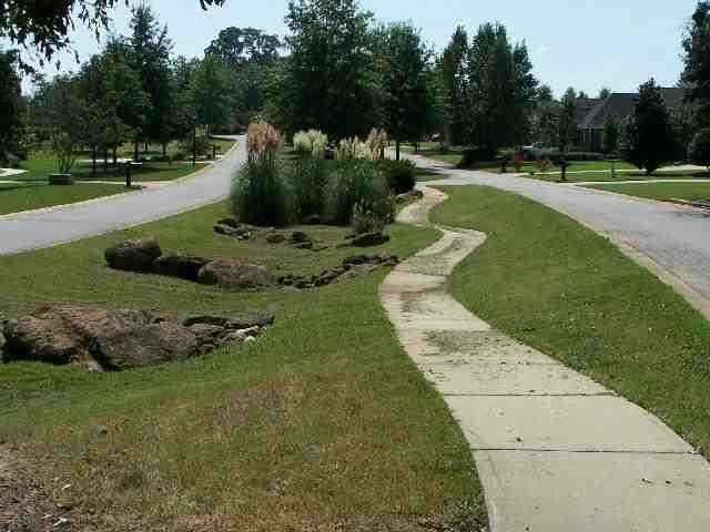 126 Red Maple Way Clemson, SC 29631 - Photo 6 of 9