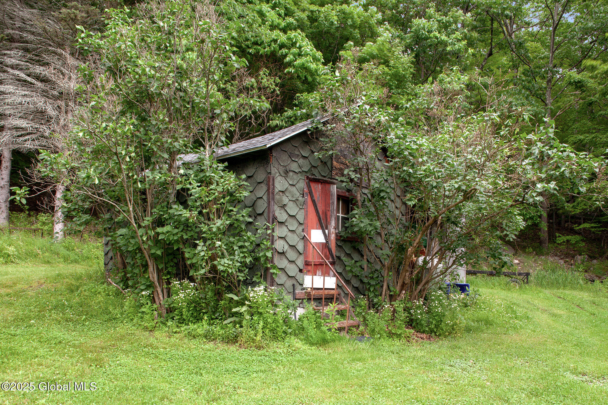 490 Ecker Hollow Road Schoharie, NY 12157 - Photo 14 of 17 FS_LT_062025_0049
