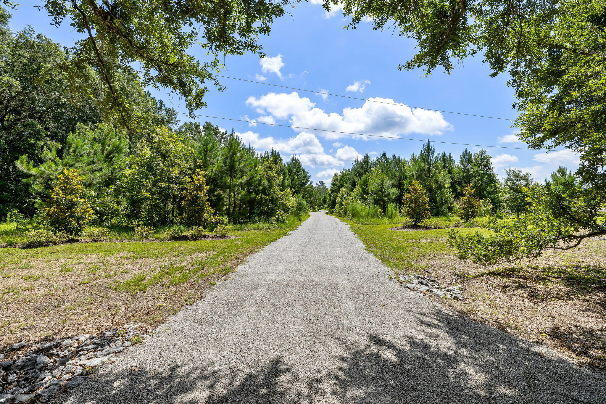 7344 Eddy Farm Road Hollywood, SC 29449 - Photo 25 of 37