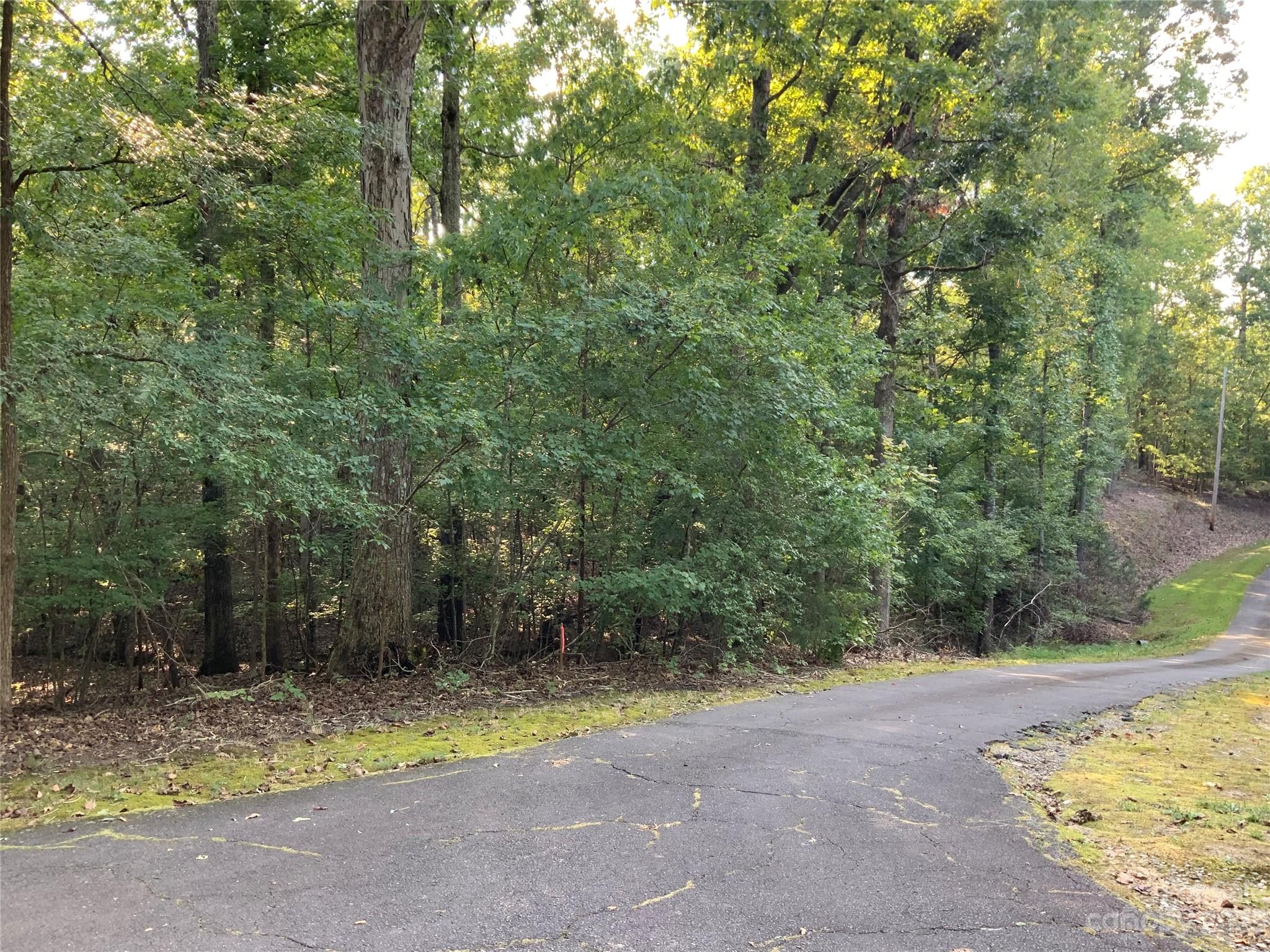 Lot 1 Nautilus Road Rock Hill, SC 29732 - Photo 8 of 11 Gallery Image 8