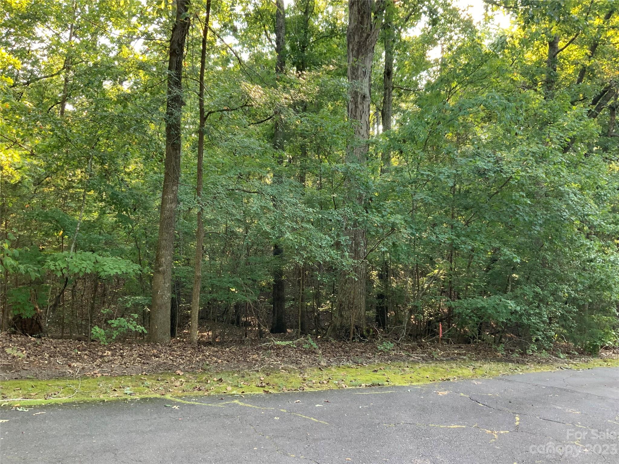 Lot 1 Nautilus Road Rock Hill, SC 29732 - Photo 10 of 11 Gallery Image 10