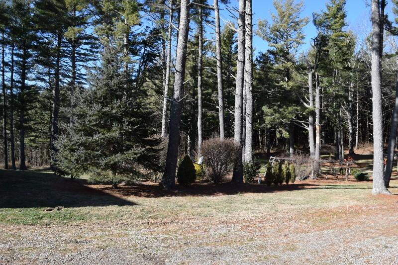 548 Timberline Road Southeast Copper Hill, VA 24079 - Photo 14 of 40 DSC_0051 (800x533)