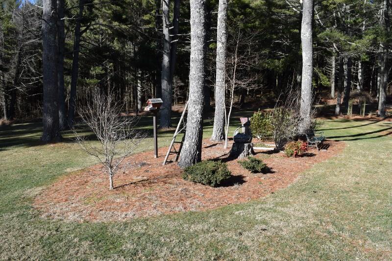 548 Timberline Road Southeast Copper Hill, VA 24079 - Photo 16 of 40 DSC_0053 (800x533)
