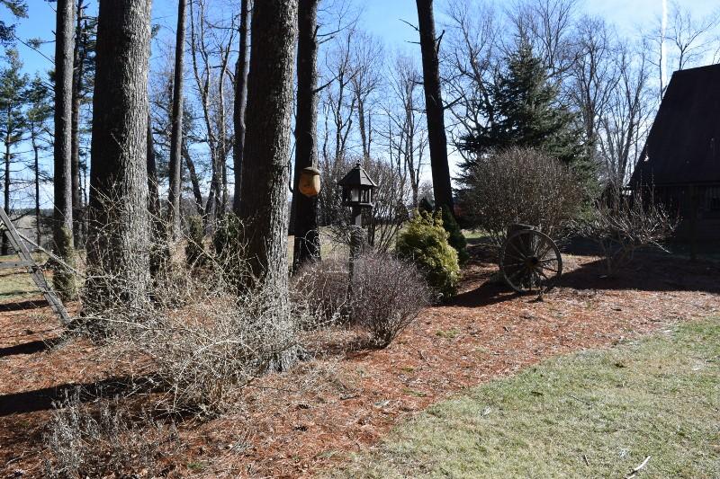 548 Timberline Road Southeast Copper Hill, VA 24079 - Photo 17 of 40 DSC_0054 (800x533)