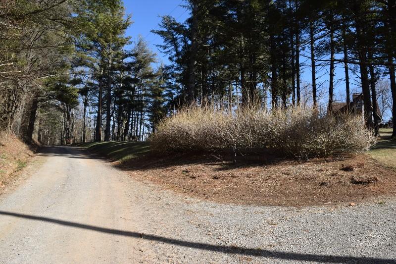 548 Timberline Road Southeast Copper Hill, VA 24079 - Photo 5 of 40 DSC_0042 (800x533)