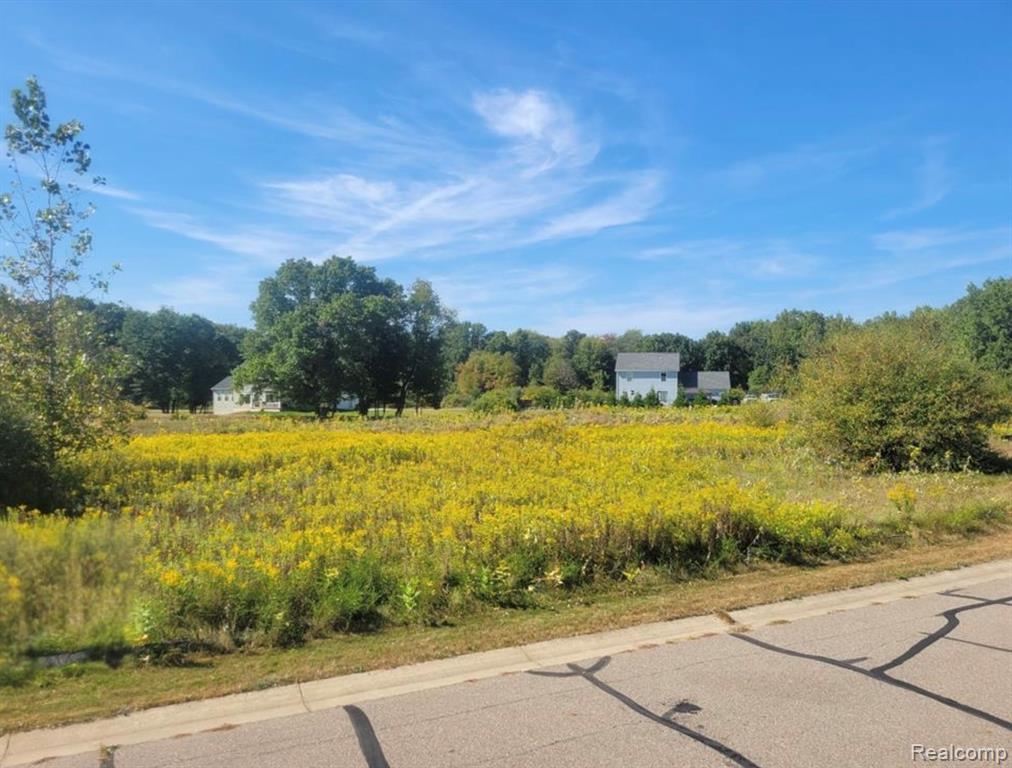 3681 Outback Trail Pinckney, MI 48169 - Photo 26 of 28