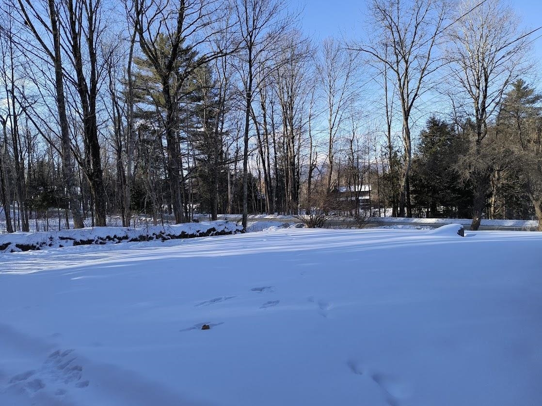 124 Bushnell Road Waitsfield, VT 05673 - Photo 27 of 29