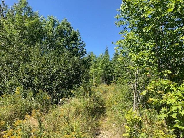 0 Foster Road Littleton, ME 04730 - Photo 2 of 18 Photo