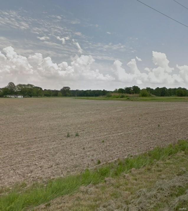0 Barren Road Sesser, IL 62884 - Photo 3 of 3