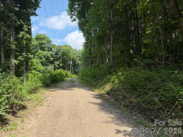 Lot 33 Sara Ridge Road Waynesville, NC 28786 - Photo 5 of 26 Gallery Image 5