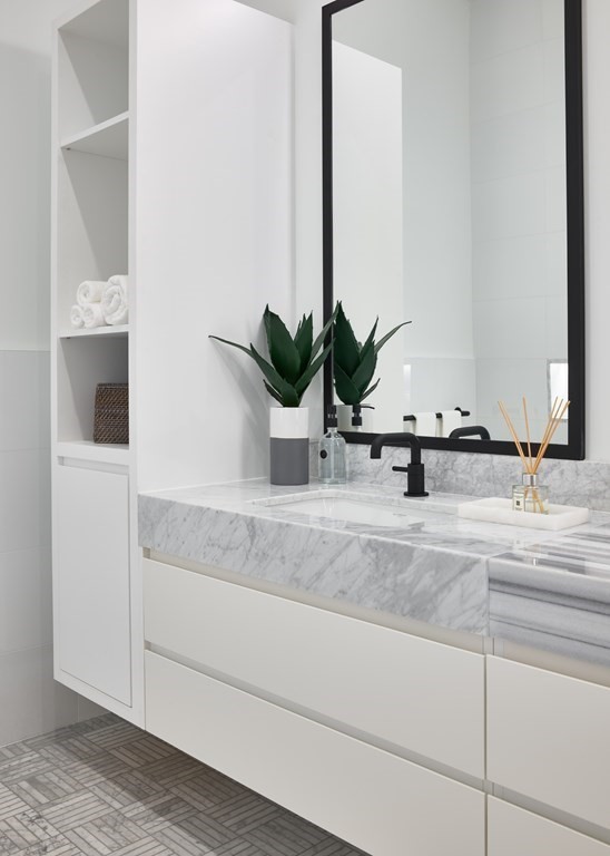 45 Temple Street, Unit 102 Boston, MA 02114 - Photo 6 of 15 a sink with a potted plant