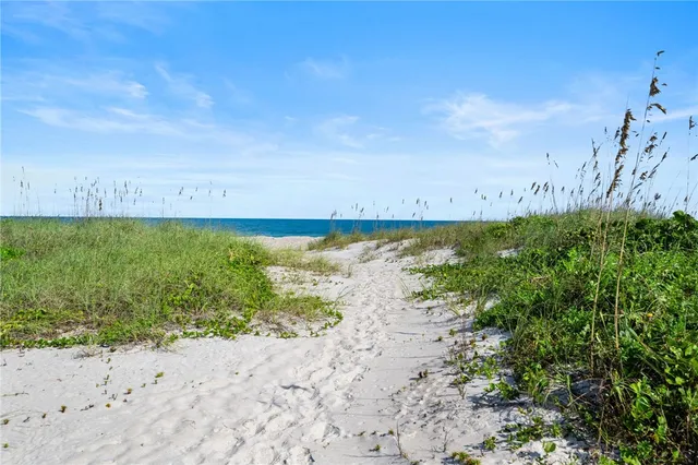 a view of beach and ocean