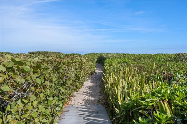 a view of a pathway both side of a building