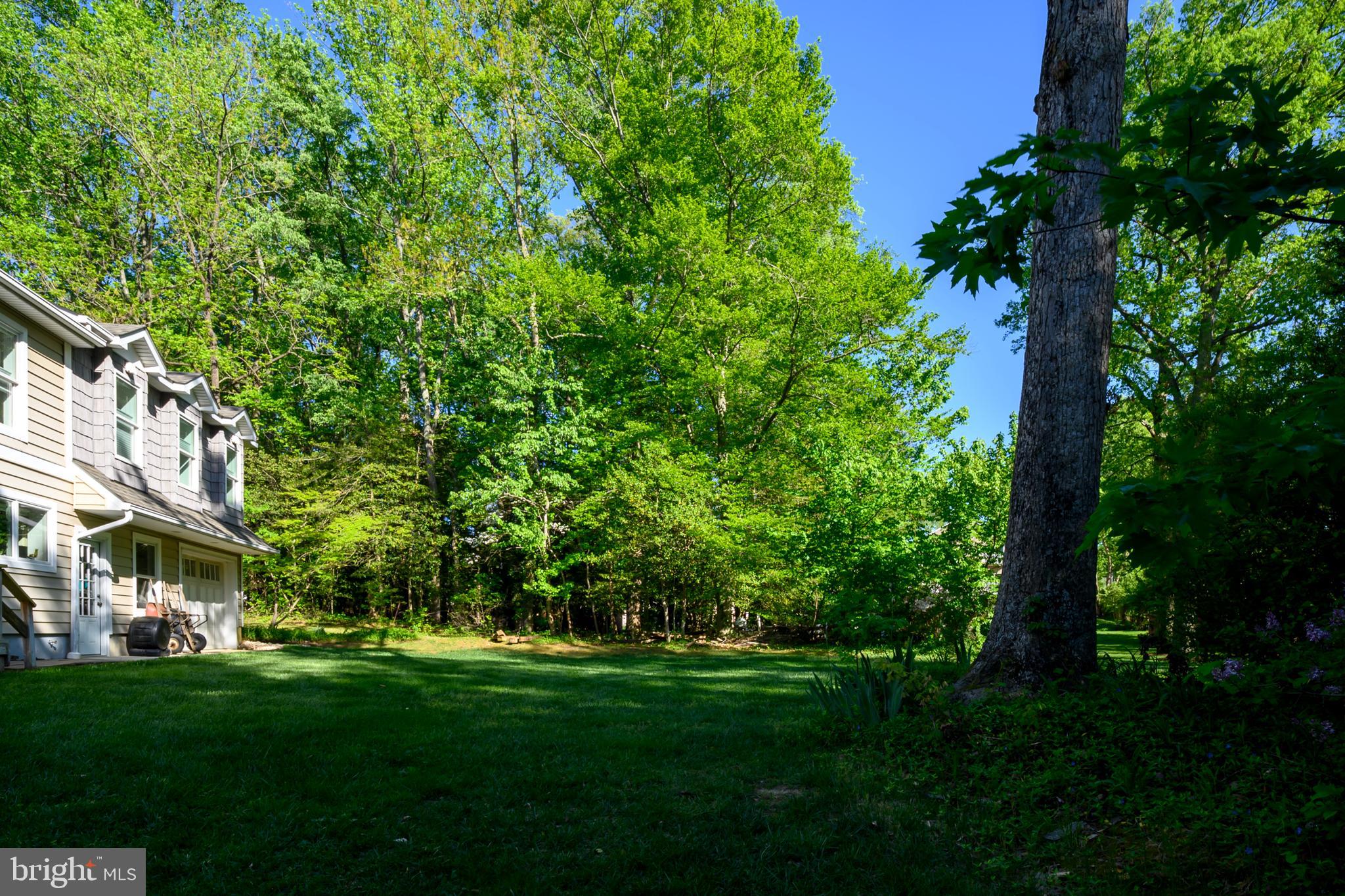 103 Spot Club Road Arnold, MD 21012 - Photo 41 of 78 Backyard (alt view)