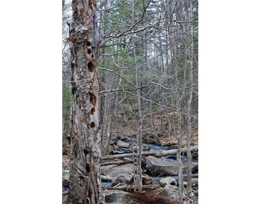 22 Gully Brook Road Abbot, ME 04406 - Photo 5 of 25 Other.