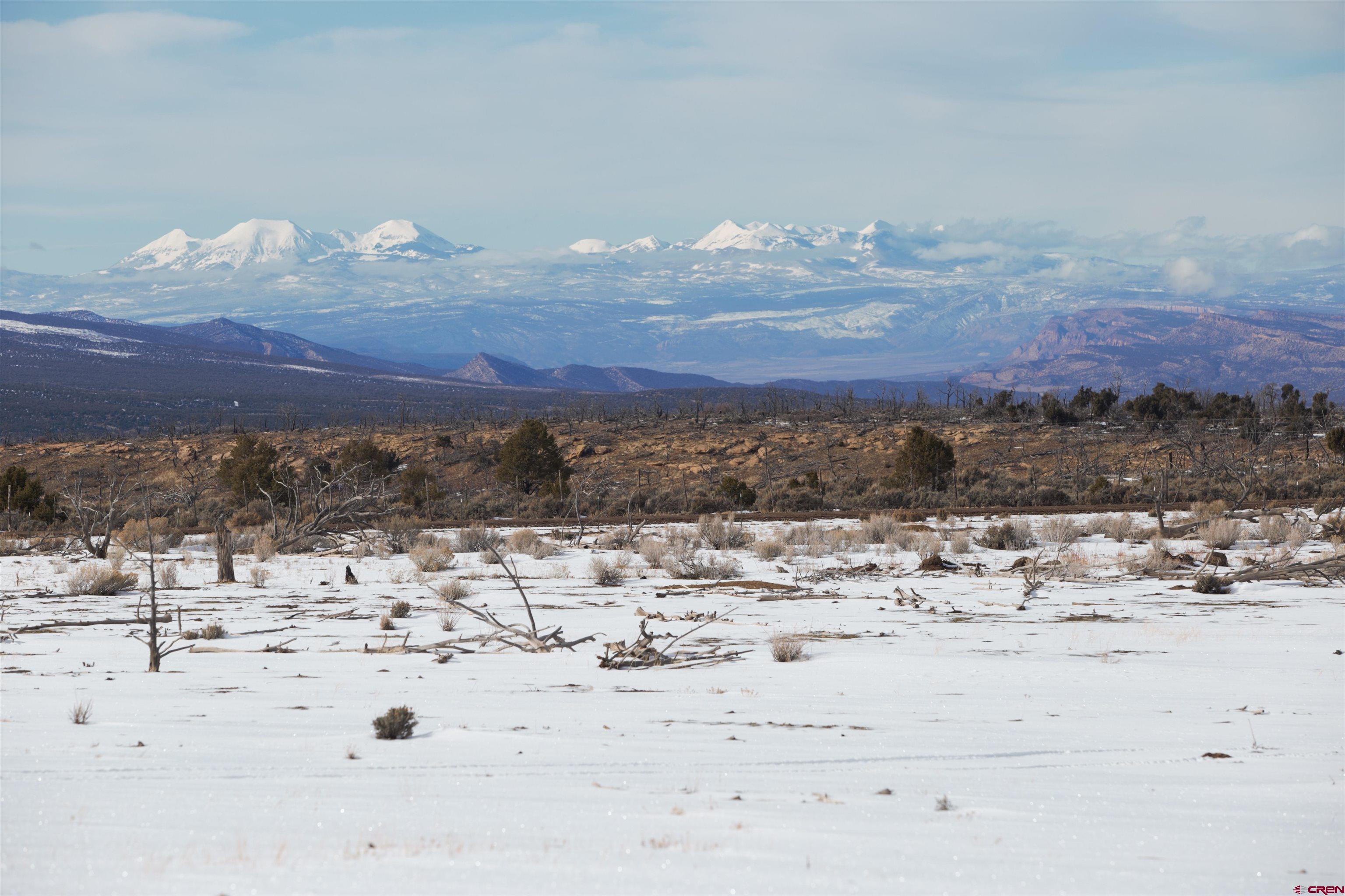 6998 East County Road U 29 Redvale, CO 81431 - Photo 11 of 27 a view of ocean view