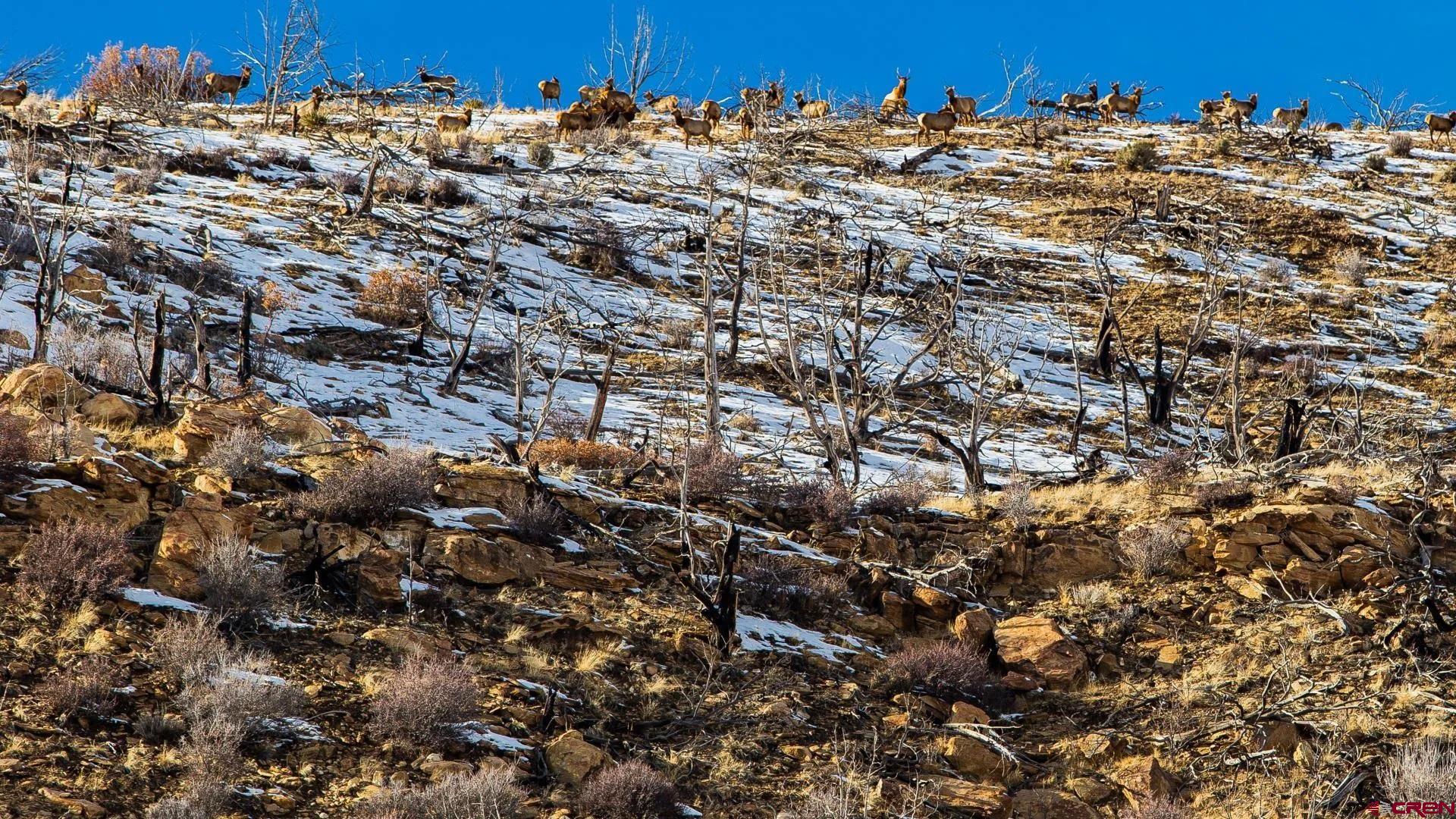 6998 East County Road U 29 Redvale, CO 81431 - Photo 13 of 27 an aerial view of a houses with a parking space