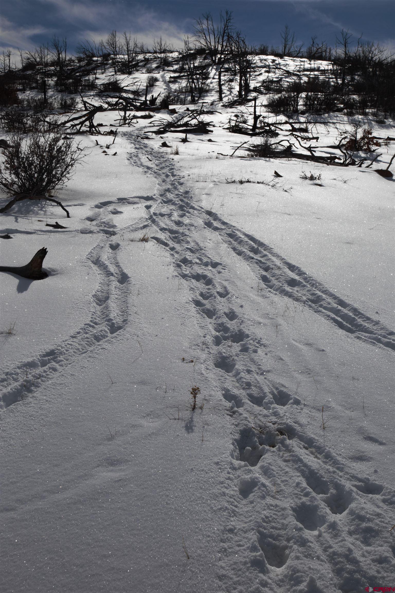 6998 East County Road U 29 Redvale, CO 81431 - Photo 15 of 27 a view of a of beach space and beach